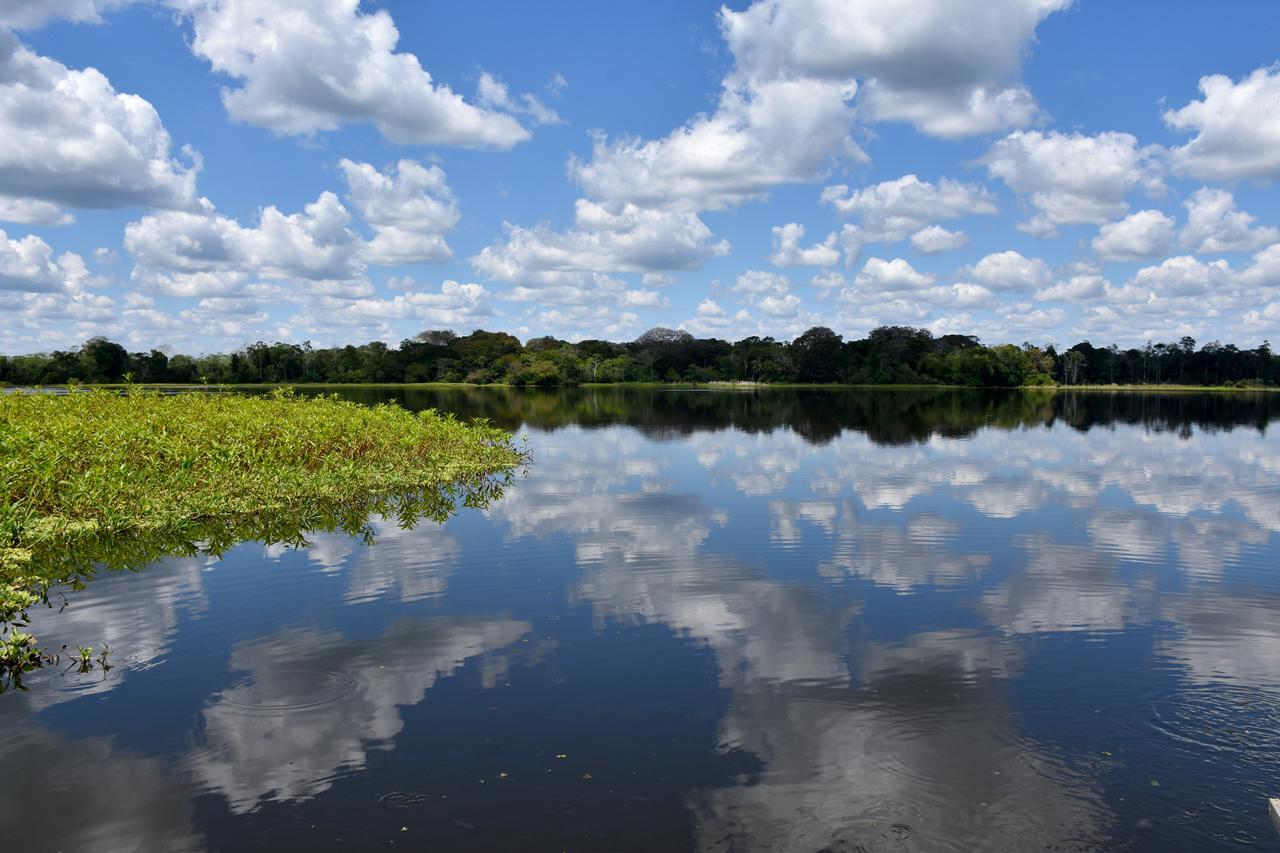 Yaku Amazon Lodge & Expeditions Paraíso Buitenkant foto